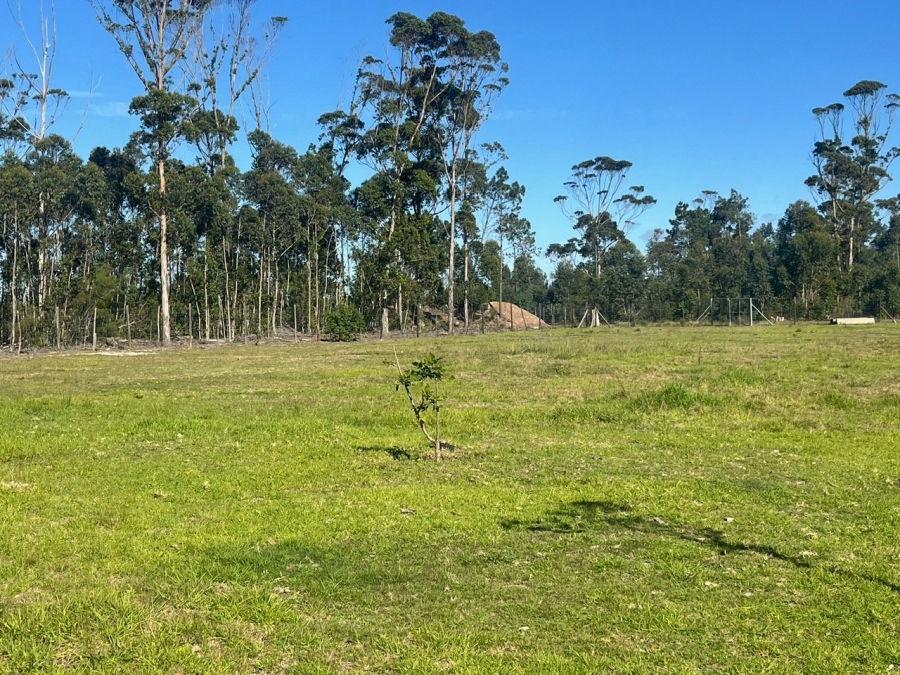 Commercial Property for Sale in Plettenberg Bay Rural Western Cape